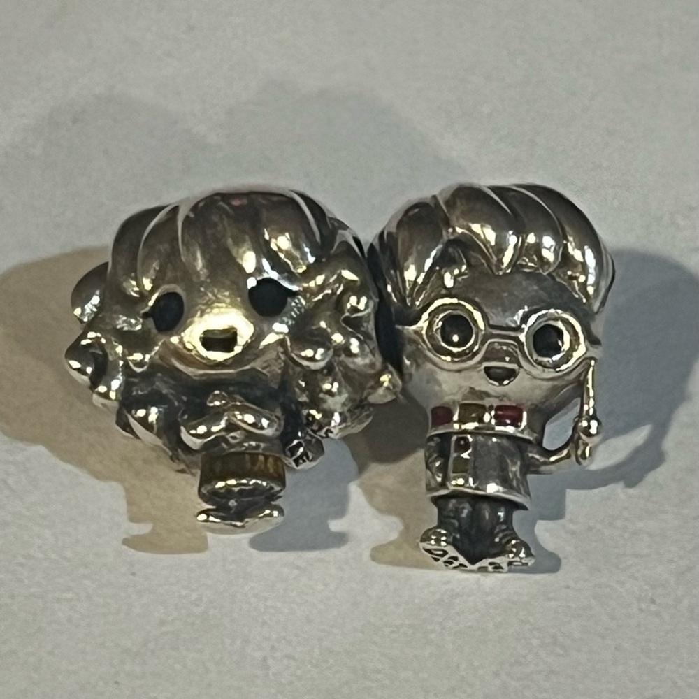 Silver Harry Potter Character Earrings